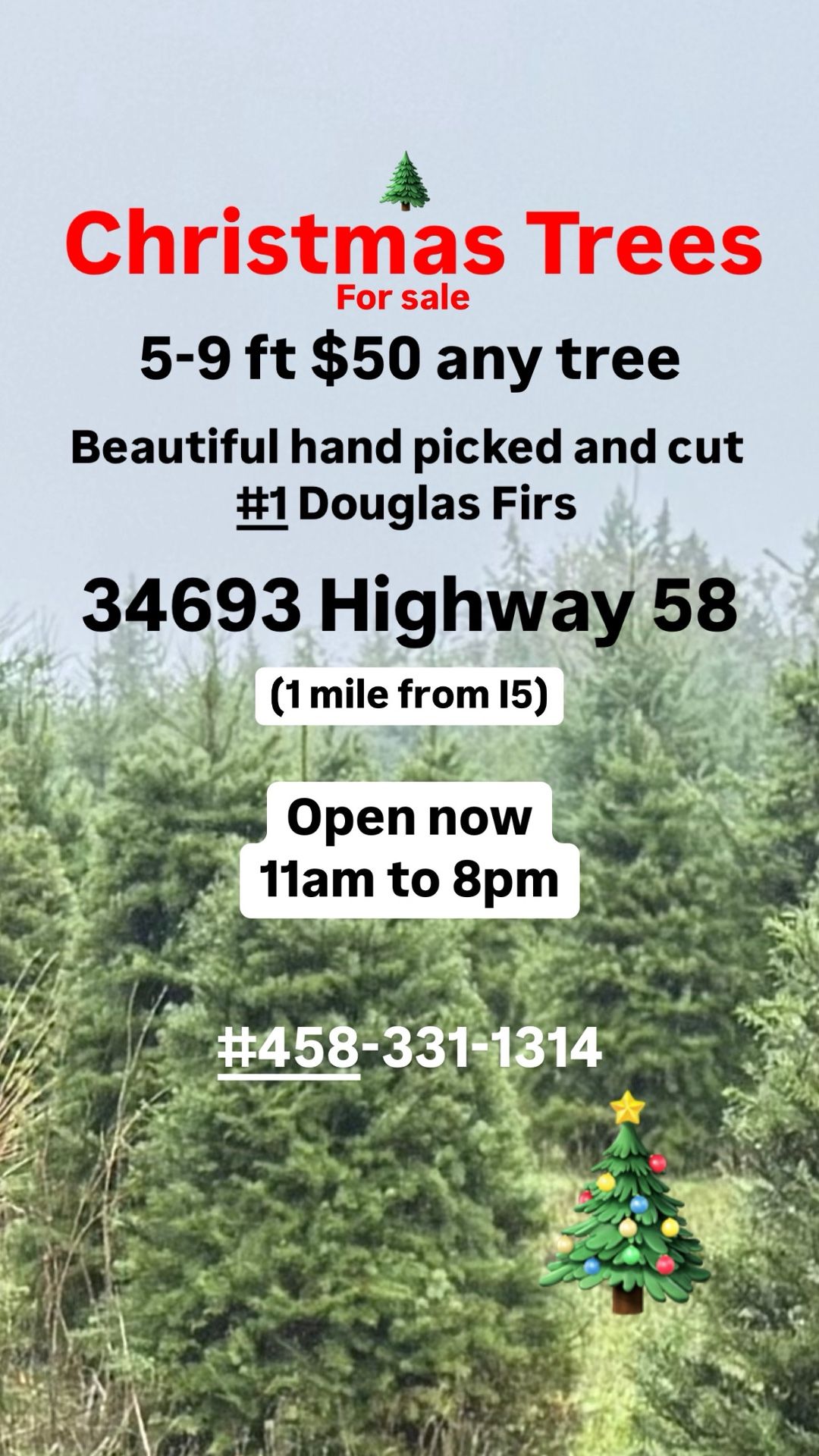 $50 Christmas Trees cut fresh a local family farm, ready to go $50 any size 4-9 feet