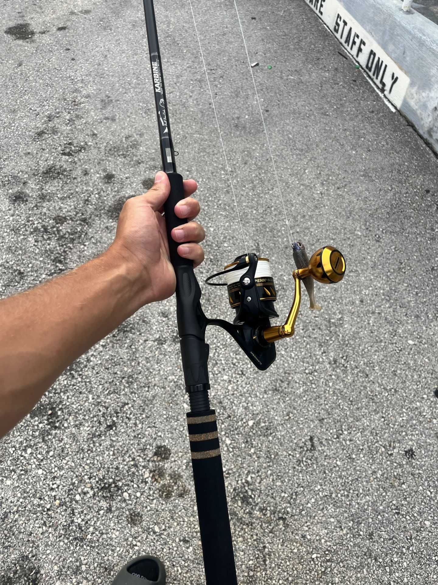 Penn slammer and bull bay karbine