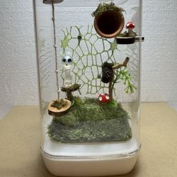 Spider Enclosure 