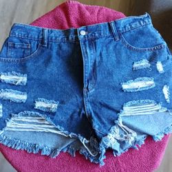 Shein Curve Jean Shorts 