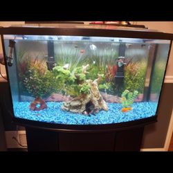 75 Gallon Fish Tank
