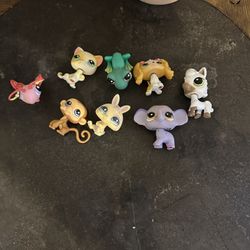 Lps Lot 