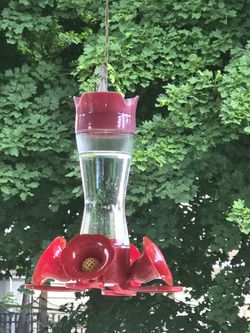 Hummingbird Feeder