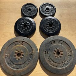 80 Lbs. of Standard Weight Plates