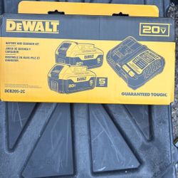 Dewalt 20v Battery & Charger Kit