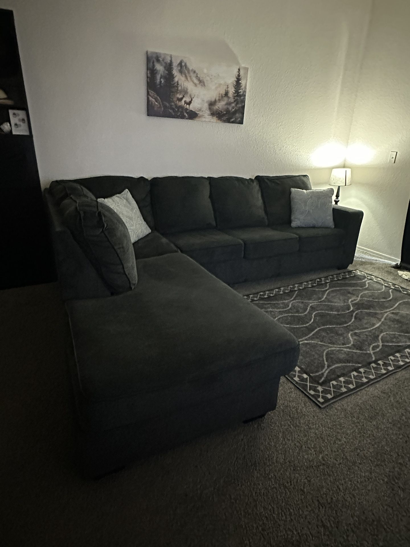 Sleeper Couch / Pull Out Bed (Full)