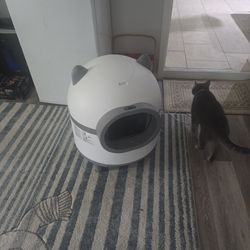 Auto cat liter box