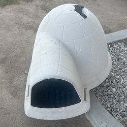 Igloo
