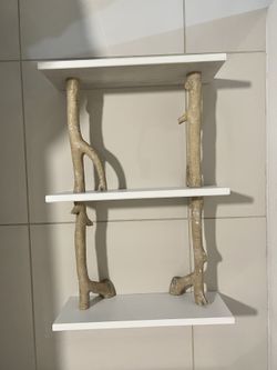 Birch shelf