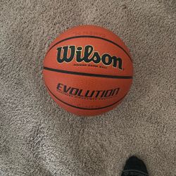 Wilson Evolution Basketball Indoor