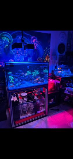 90 Gallon Reef Tank