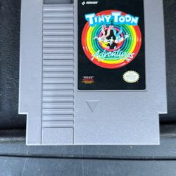 Tiny Toon Adventures NES