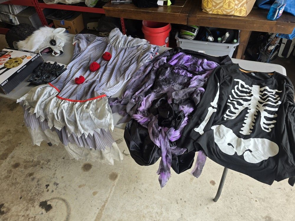 Adult Halloween Costumes 