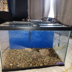 10 Gallon Aquarium 