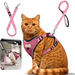Cat Harness and Leash for Walking, Retractable XS