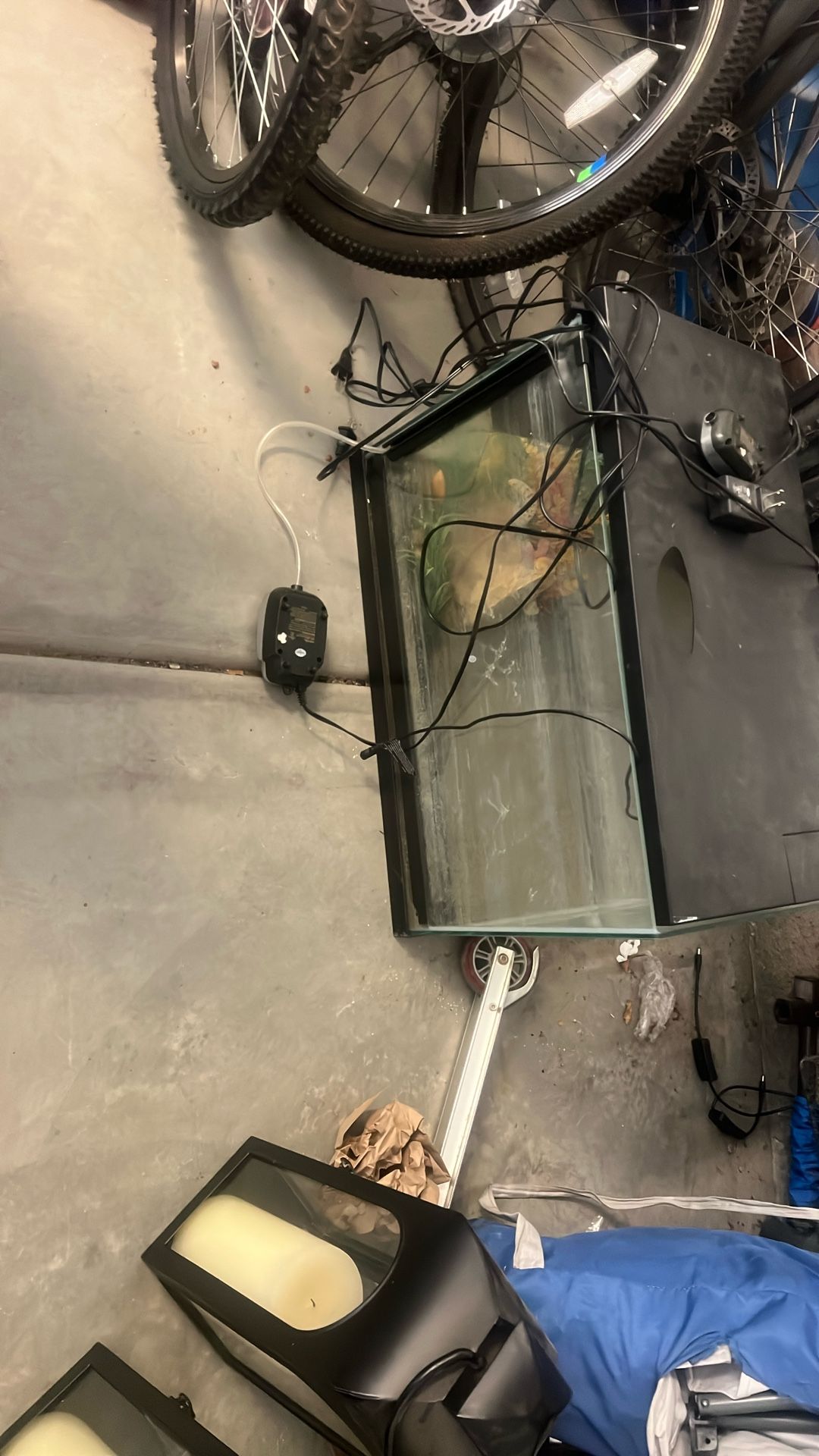 Fish Tank