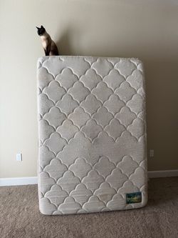 Full Mattress, Box Frame, and Frame
