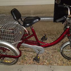Adult Motorized Bicycle