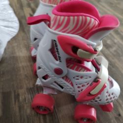 Adjustable Skates 