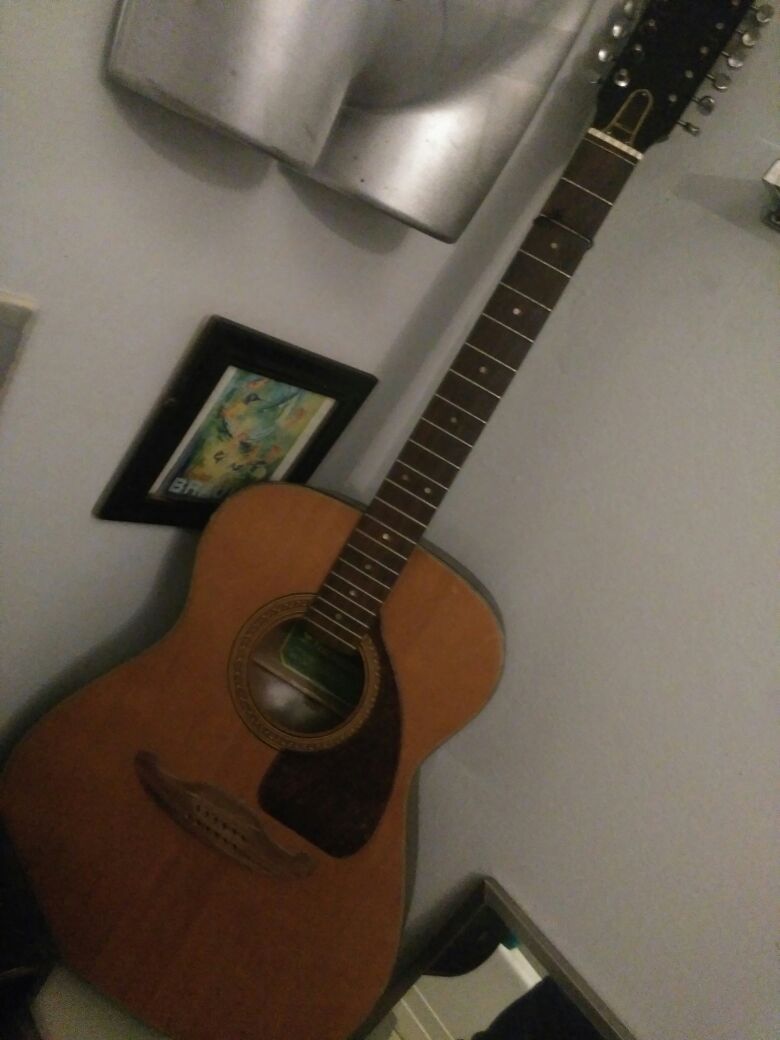 Diasonic 12-string guitar