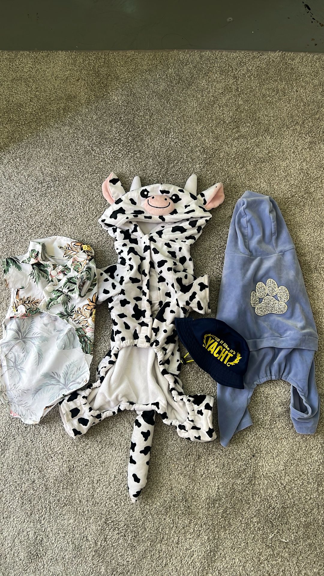 Dog Clothes