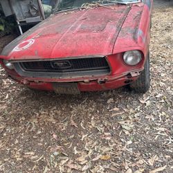 1968 Ford Mustang 289