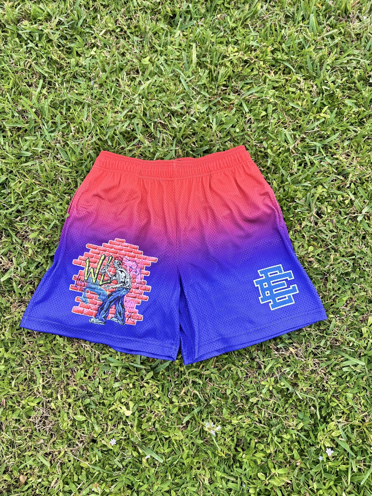 Eric Emanuel X Warren Lotas Shorts