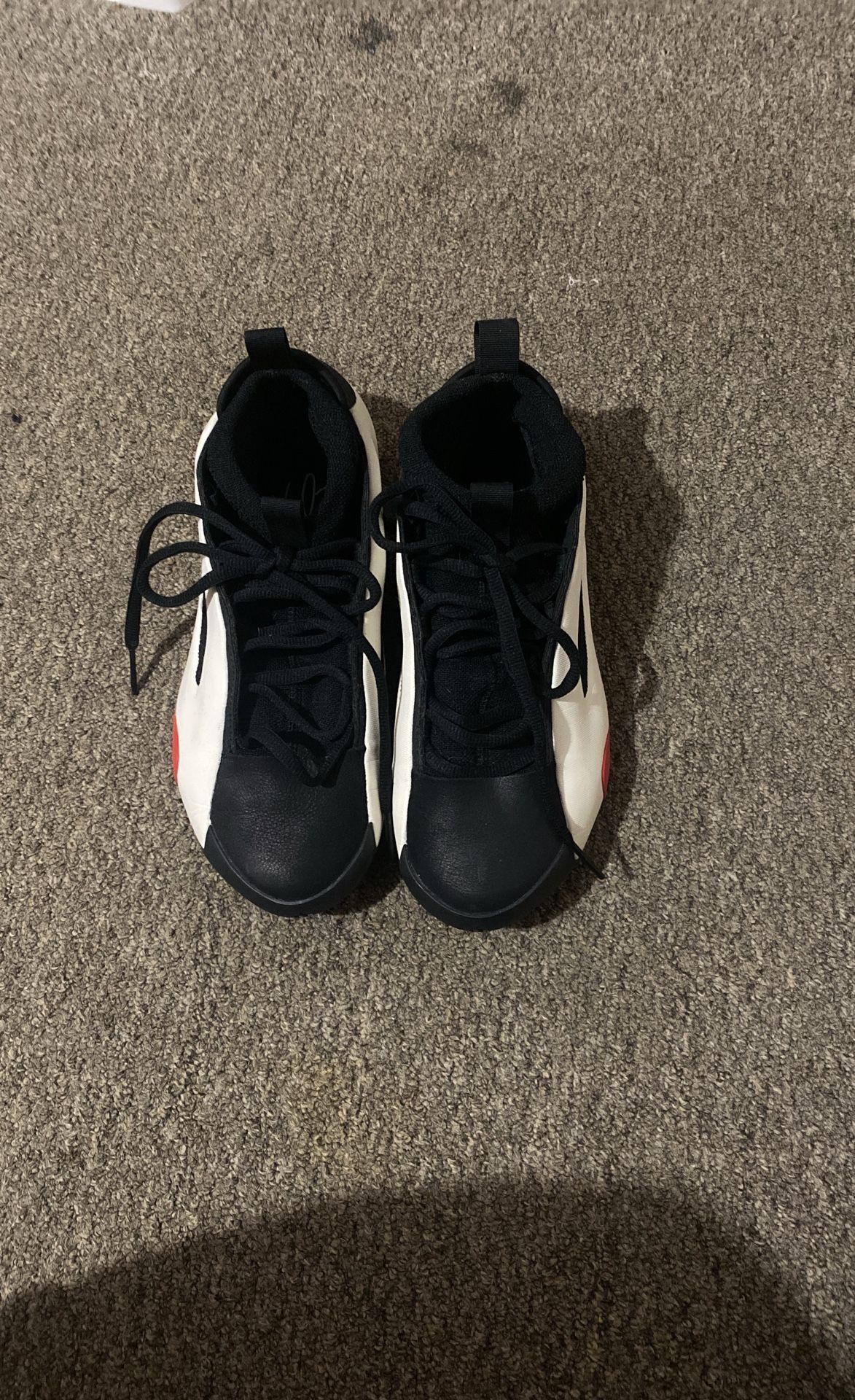 Harden Vol 8