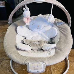 Ingenuity Baby Bouncer Seat