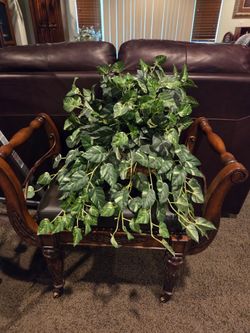 Ferns, perfect large sets fifty dollars each artificial plants