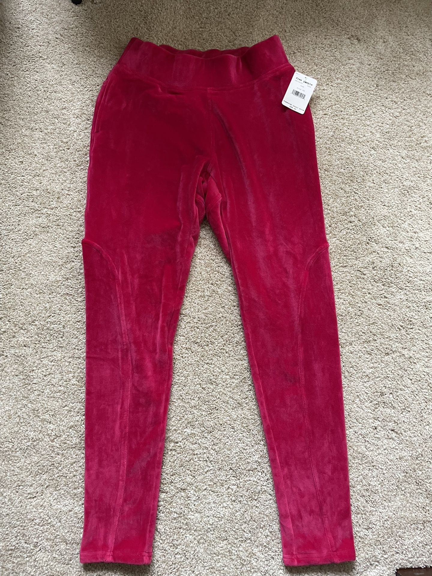 Free People Velvet Sweat Pants XS