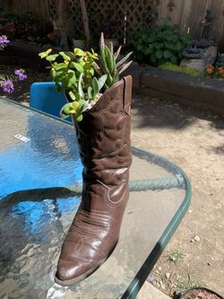 Beautiful Succulent Arrangements