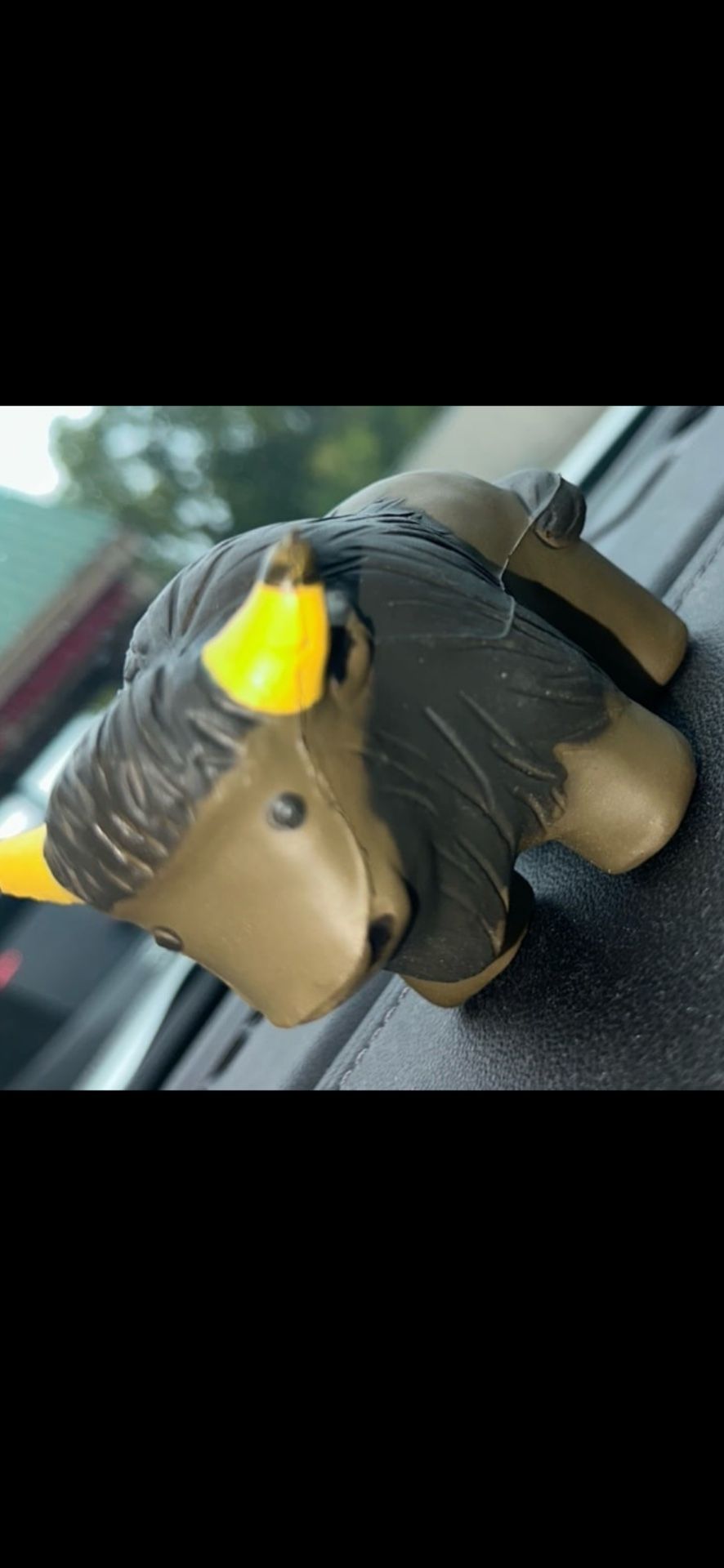 Buffalo/bison Stress Ball