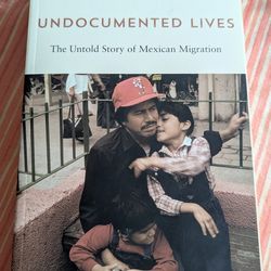 Paperback Undocumented Lives by Ana Raquel Minian