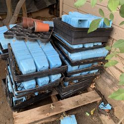 Plastic Planting Pots 2$ A Flat