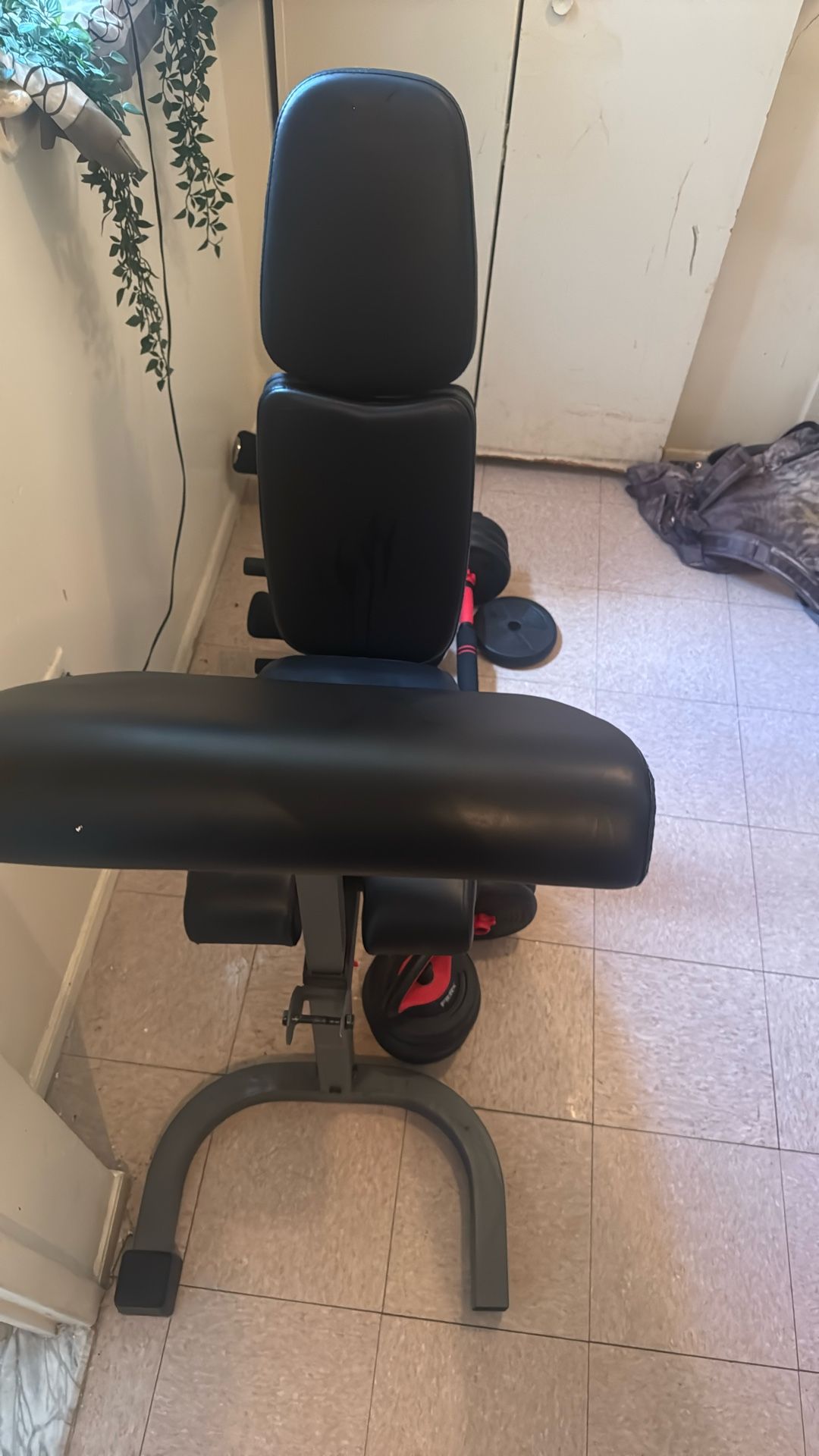 Preofesional Bench With Weights