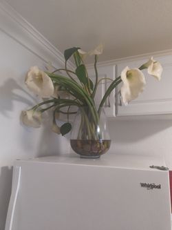 Bowl Glass Vase