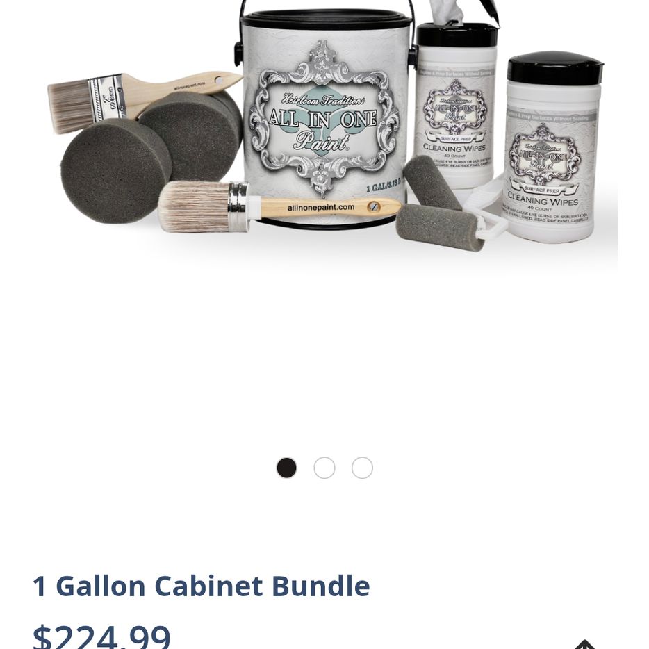 Cabinet paint kit