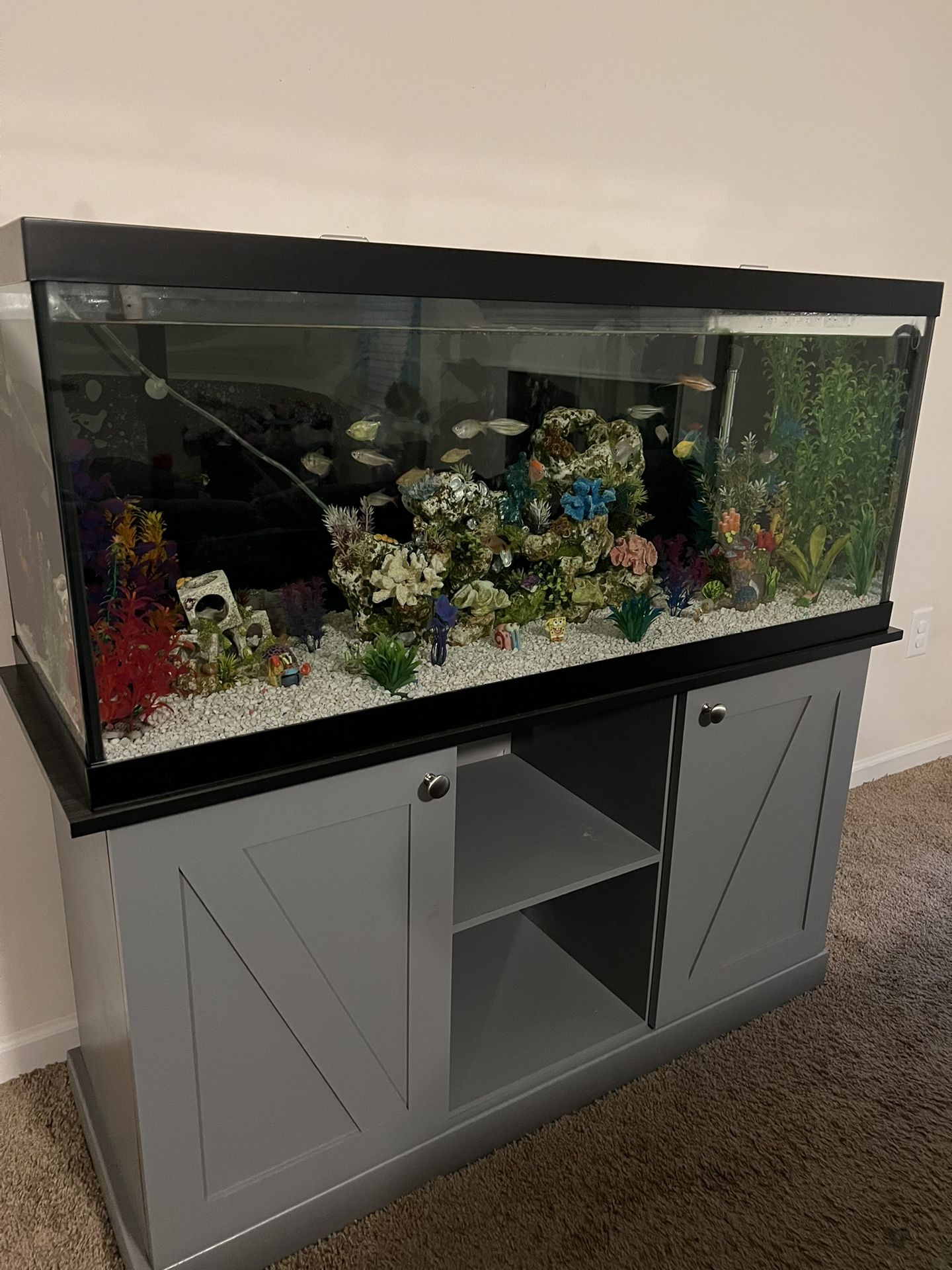 75 Gallon Tank & Stand