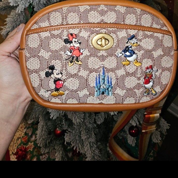 Disney Coach Bag