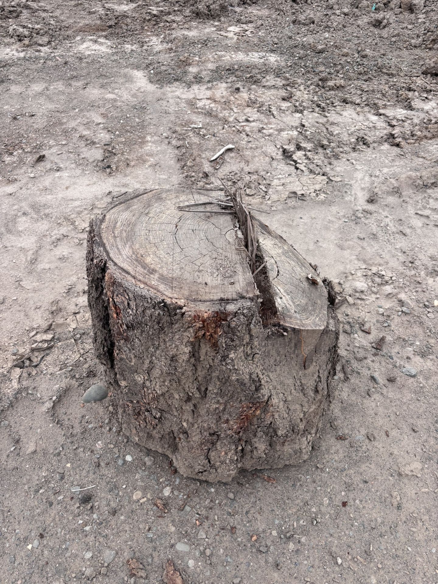 Wood Rounds