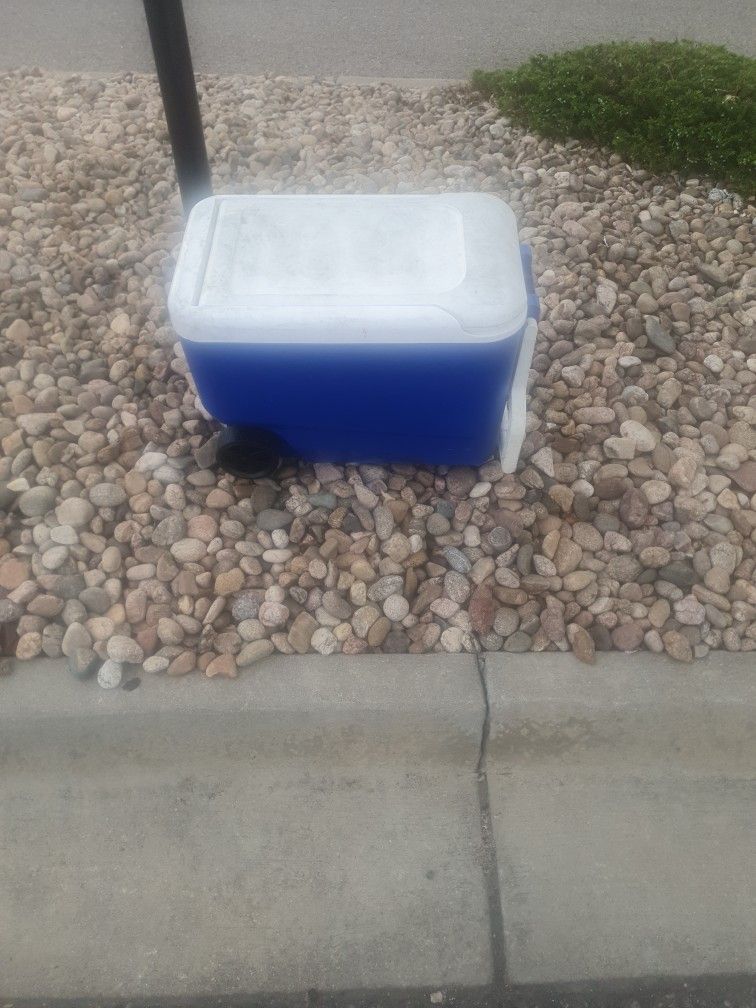 Cooler
