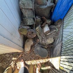 Misc Wood- SE Montavilla