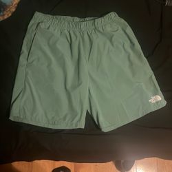 The north face shorts 