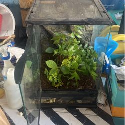 Tank With decorations