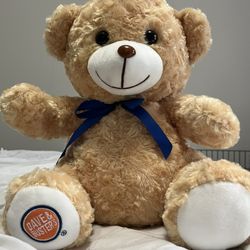 Dave and Busters Teddy Bear