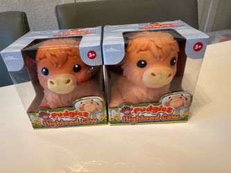 Highland Cows Rare