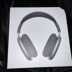 Apple head phones 