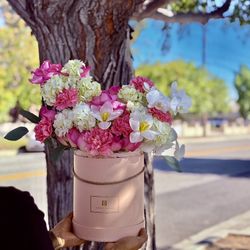 Floral Arrangements 🌷