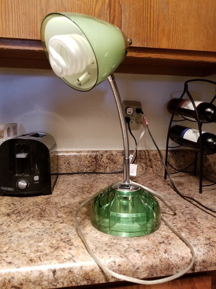 Desk Lamp